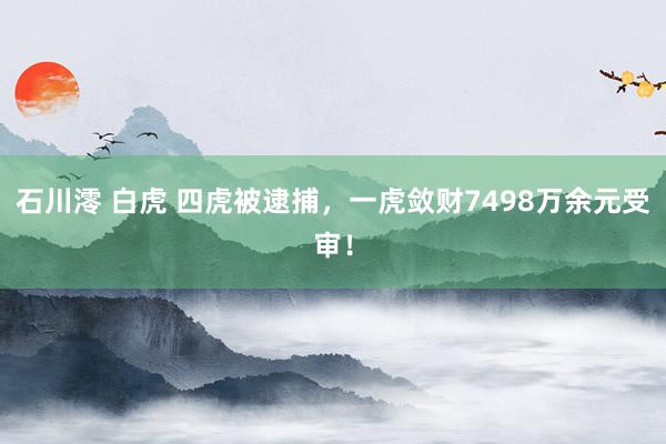 石川澪 白虎 四虎被逮捕，一虎敛财7498万余元受审！